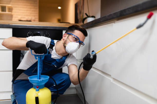 Best Affordable Pest Control Services  in Kirkwood, MO