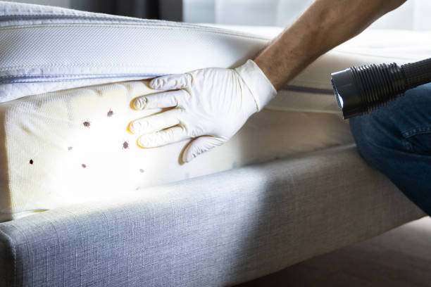 Best Pest Control for Businesses  in Kirkwood, MO